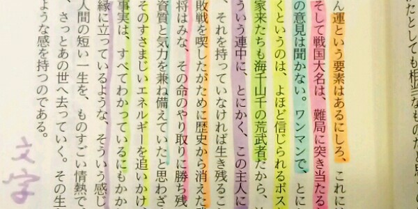 コクヨ 2色蛍光マーカー ビートルティップ・デュアルカラー9