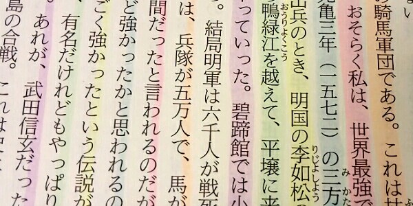 コクヨ 蛍光ペン 2色蛍光マーカー ビートルティップ・デュアルカラー ソフトカラー５