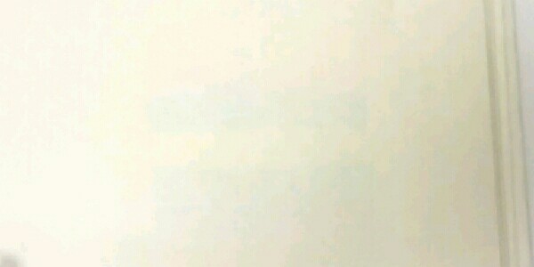 パイロット 蛍光ぺン フリクションライト SFL-60SL-6CS ソフトカラー4